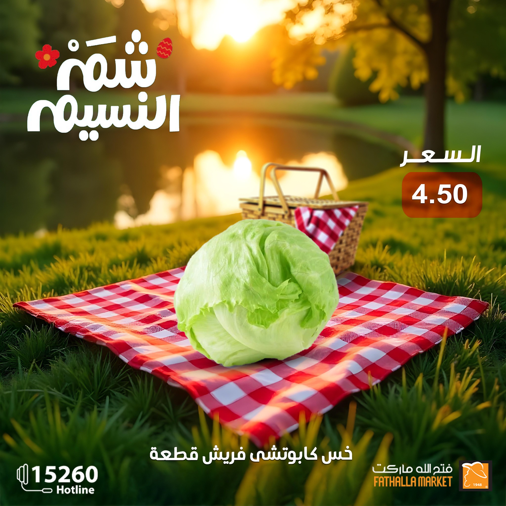 fathalla offers from 19apr to 16apr 2025 عروض فتح الله من 19 إبريل حتى 16 إبريل 2025 صفحة رقم 22